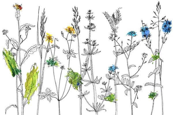 Jogo de ervas de desenho de tinta e flores — Vetor de Stock