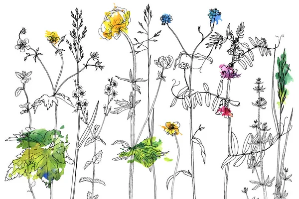 Sada kreslení, byliny a květiny — Stockový vektor