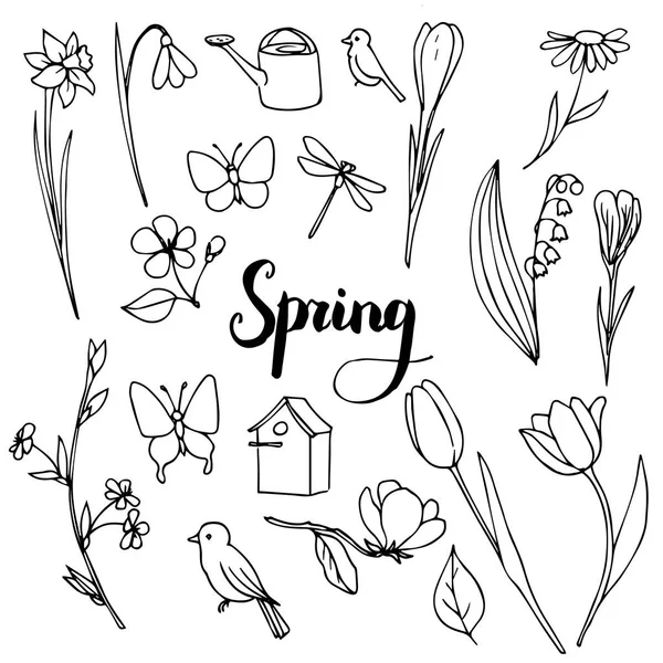 Vector de primavera doodle conjunto — Archivo Imágenes Vectoriales