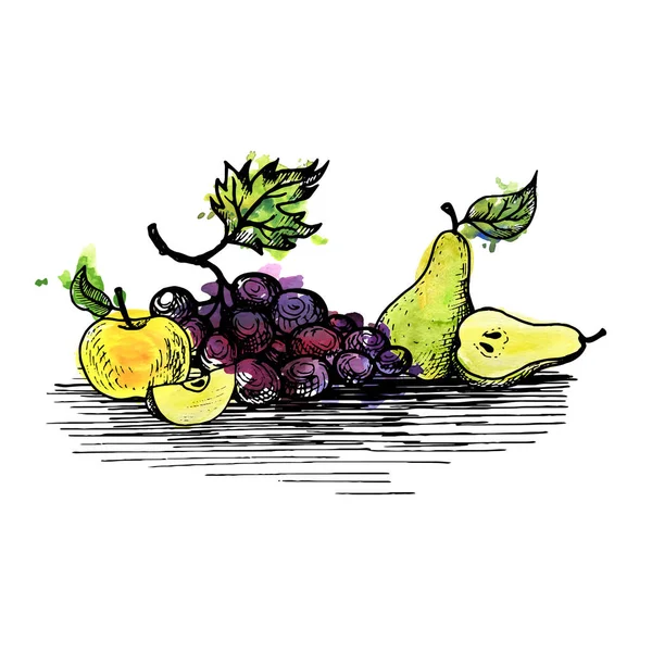 Wektor winogron rysunku tuszem — Wektor stockowy