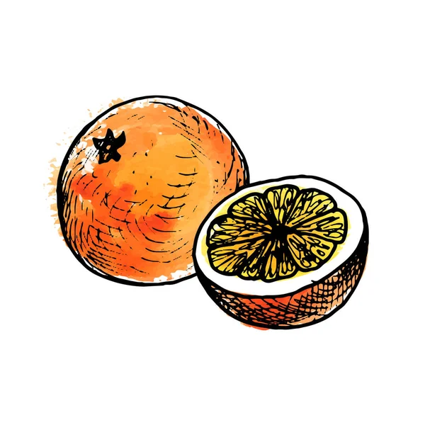 Vector tinta dibujo naranja — Vector de stock