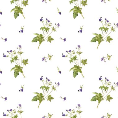 Çayır sardunya çiçeği ile Seamless modeli