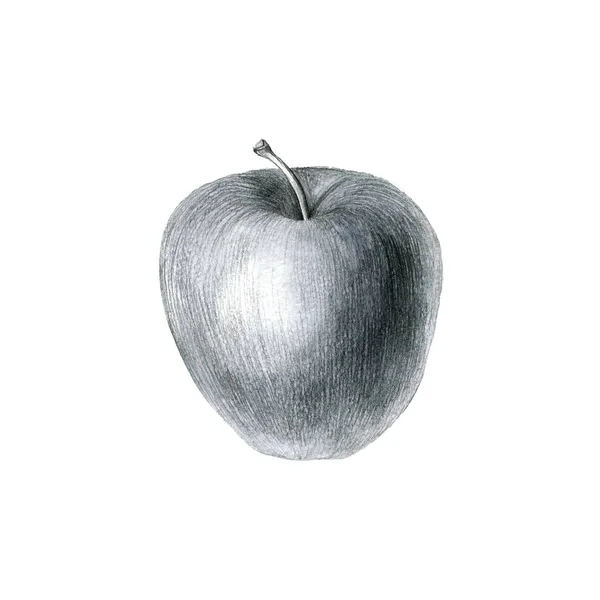 Dessin au crayon pomme — Photo