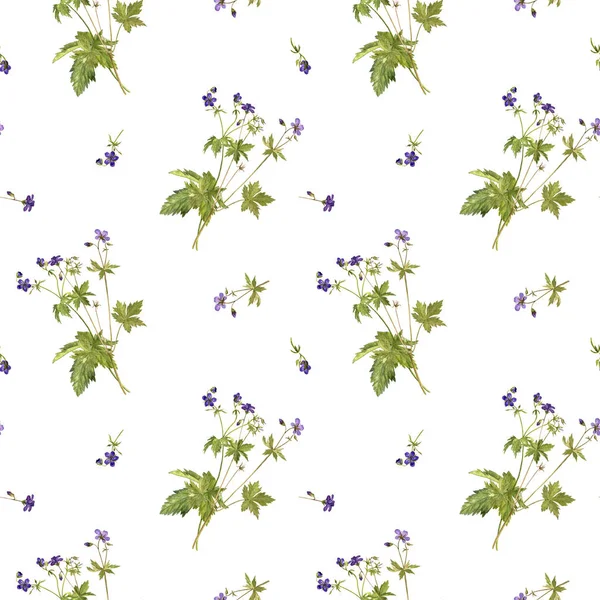Seamless pattern with flower of meadow geranium — Stock Photo, Image
