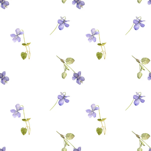 Viola çiçekleri ile Seamless modeli — Stok fotoğraf