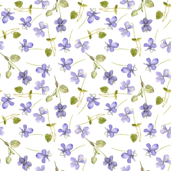 Seamless pattern with flowers of viola — Stock Photo, Image