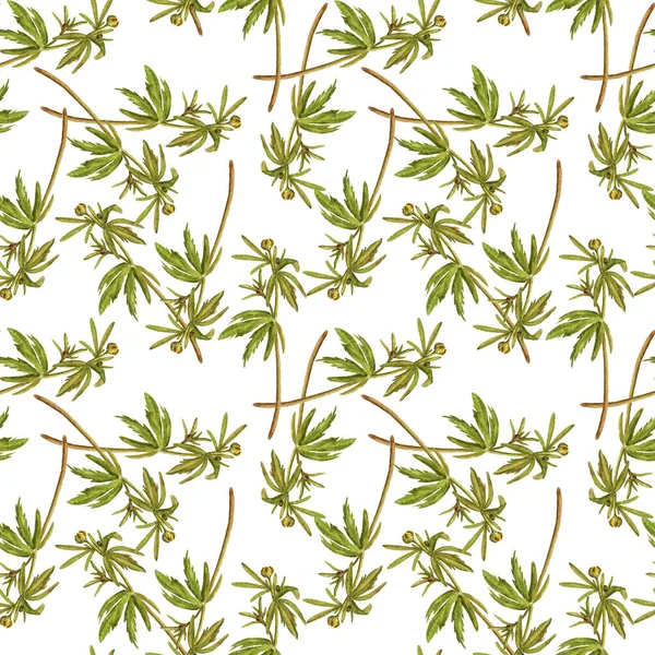 Seamless pattern with green plants — Stock Photo, Image