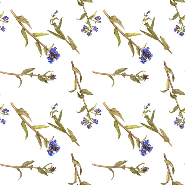 Lungwort çiçekleri ile Seamless modeli — Stok fotoğraf