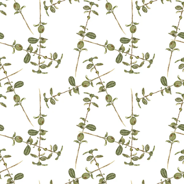 Seamless pattern with green plants — Stock Photo, Image