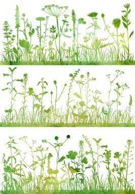 Background with drawing herbs and flowers clipart