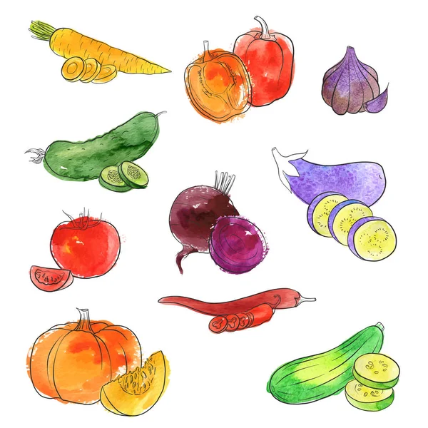 Векторний малюнок овочі — стоковий вектор