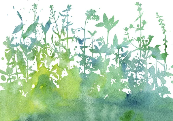 Hintergrund mit Zeichnung von Kräutern und Blumen — Stockfoto