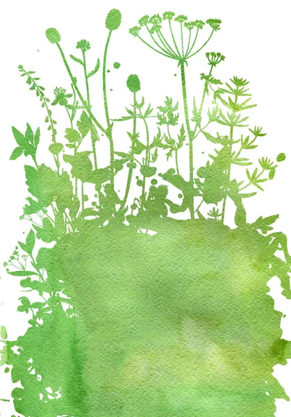 Arka plan bitki ve çiçek çizim ile — Stok fotoğraf