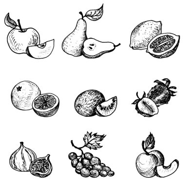 vektör mürekkep çizim üzüm