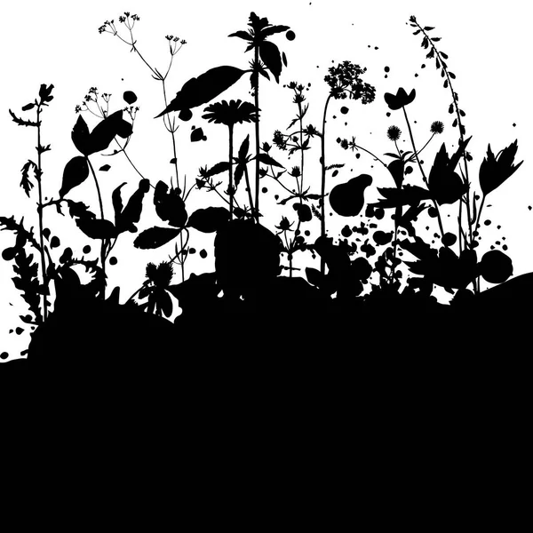 Bakgrund med ritning örter och blommor — Stock vektor