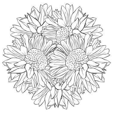 vektör çizim çiçek, dekoratif rozet, stilize tasarım yuvarlak şablon, izole çiçek öğe, el çekilmiş botanik illüstrasyon