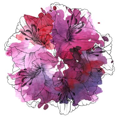 lily vektör çizim çiçek