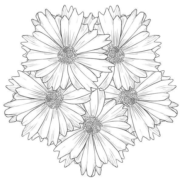Vector tekening bloem van lelie — Stockvector