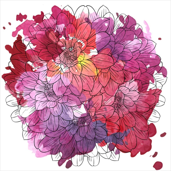 lily vektör çizim çiçek