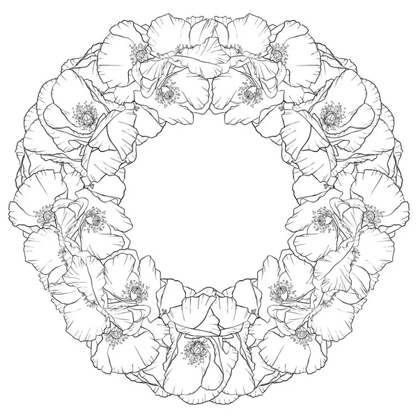 Vector dibujo amapola flores — Archivo Imágenes Vectoriales