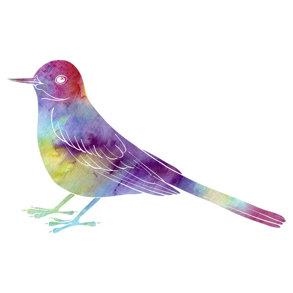Akvarelu silueta ptáka — Stock fotografie