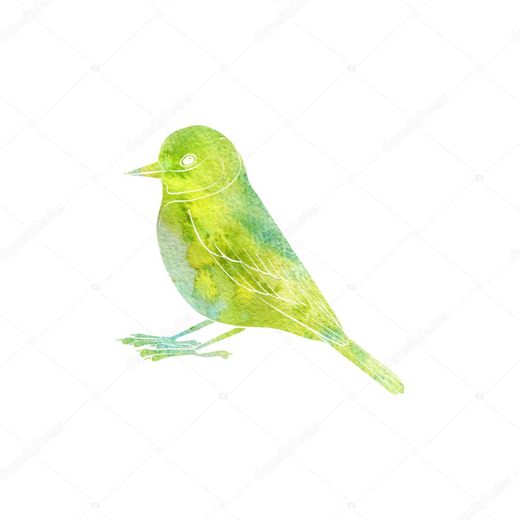 watercolor silhouette of bird