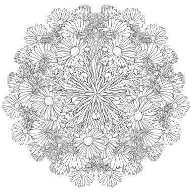 lily vektör çizim çiçek