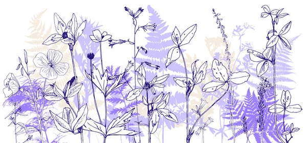 向量背景与画野生植物 草本和花 植物例证 自然花卉模板 — 图库矢量图片