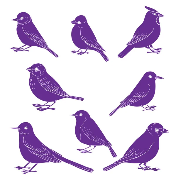 Ensemble vectoriel d'oiseaux — Image vectorielle