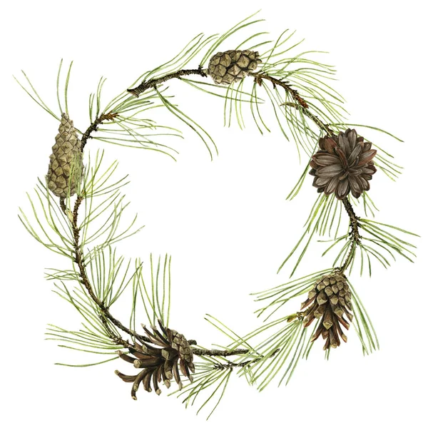 Pine branches with green needles Royalty Free Stock Images