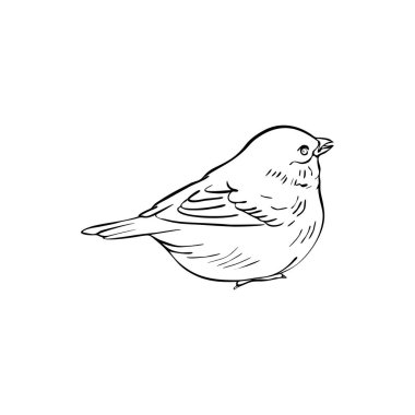 kuş ağaç dalında