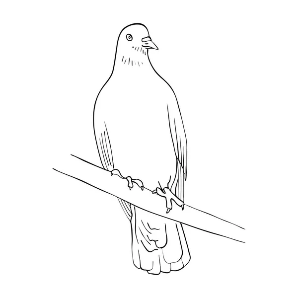 Птах на гілці дерева — стоковий вектор