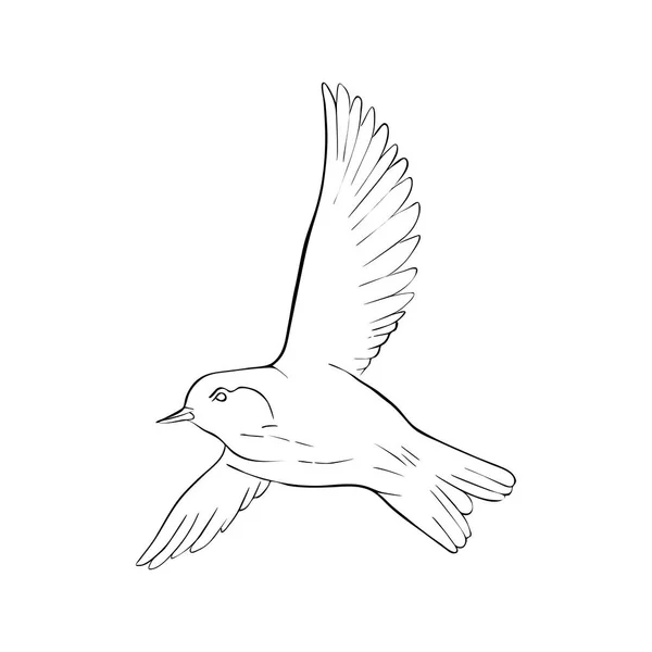 Bird Drawing (7 Different Ways!) - The Graphics Fairy-saigonsouth.com.vn