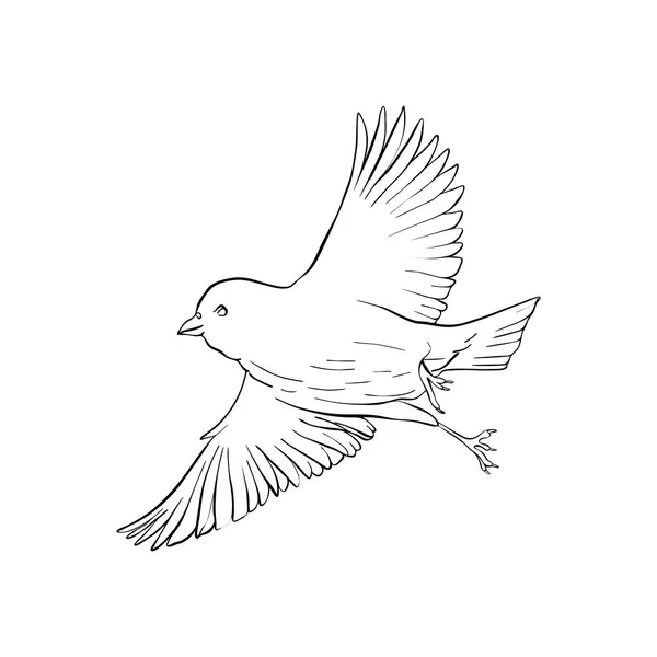 Vektorfliegender Vogel — Stockvektor