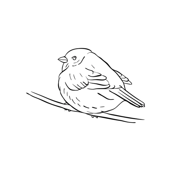 Pájaro en rama de árbol — Vector de stock