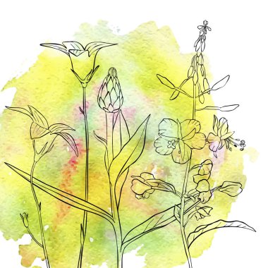 vektör çizimi çiçekleri