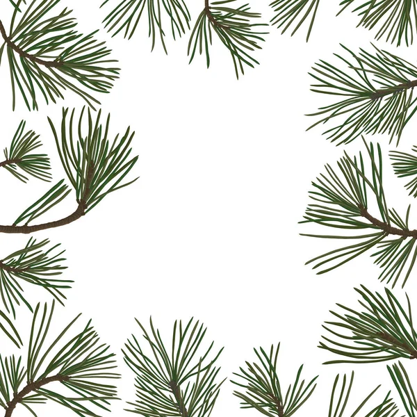 Ramas de pino con agujas verdes — Vector de stock