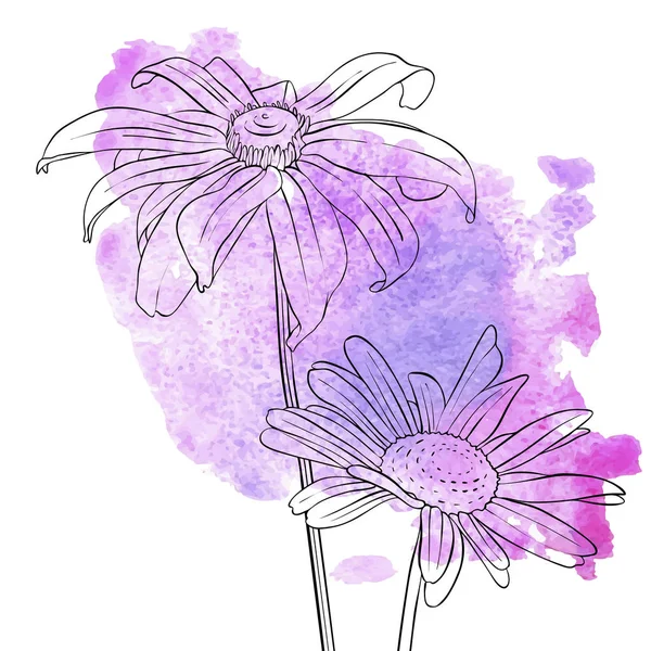 Dessin vectoriel fleurs de marguerite — Image vectorielle