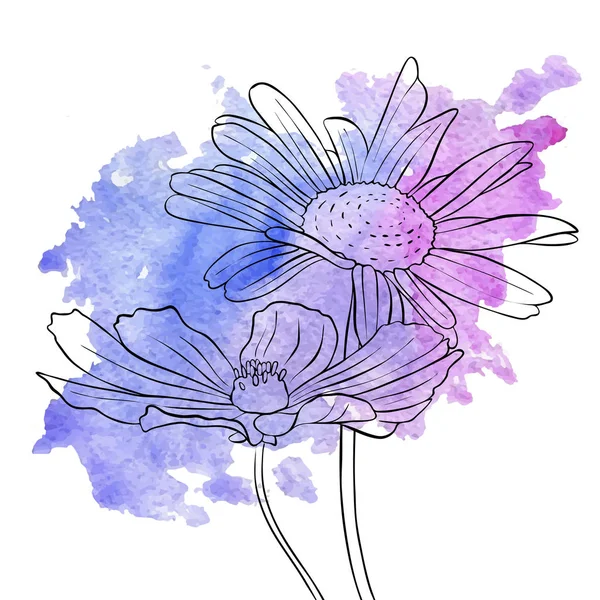 Vektorové kreslení květů sedmikrásky — Stockový vektor