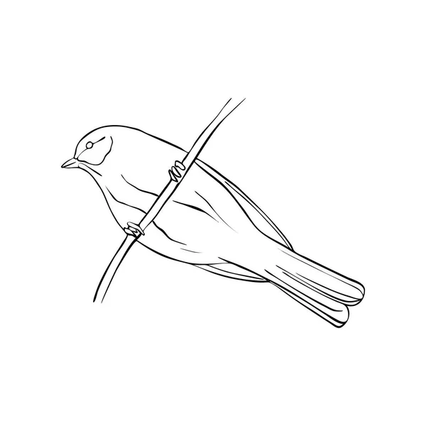 Bird at tree branch — Stock Vector