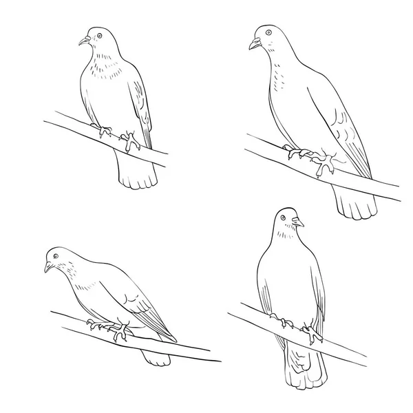 Pájaro en rama de árbol — Vector de stock