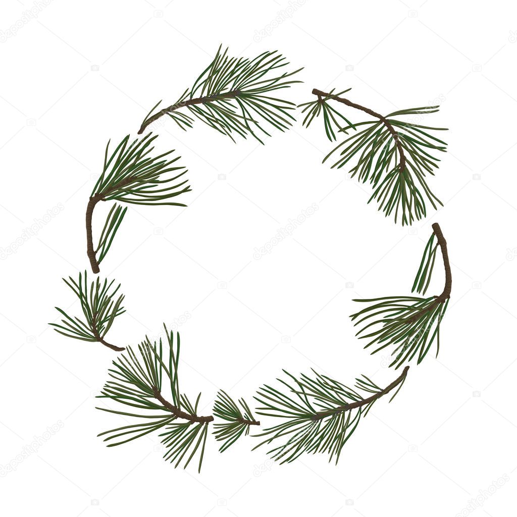 pine branches with green needles