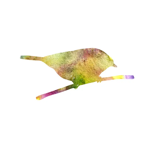 Vogel bij boomtak — Stockfoto