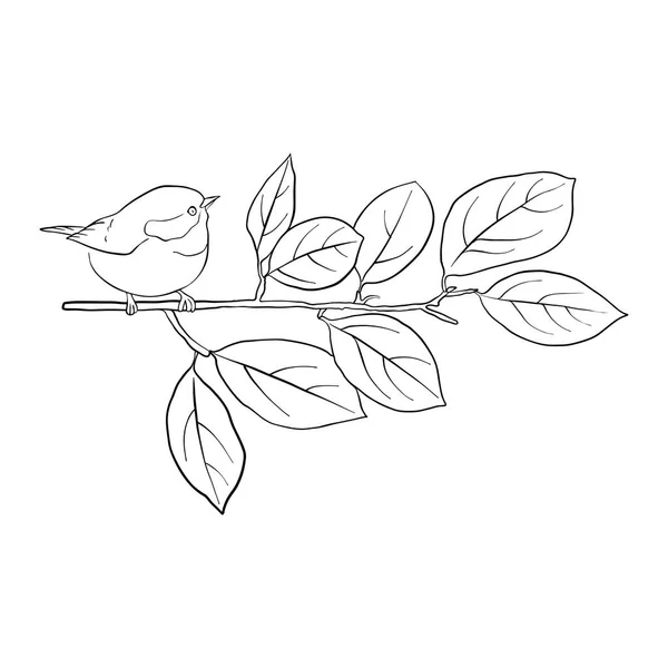 Птица на ветке дерева — стоковый вектор