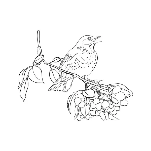 Pájaro en rama de árbol — Archivo Imágenes Vectoriales