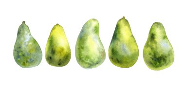 suluboya çizim yeşil avokado