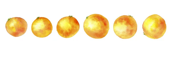 Acuarela dibujo naranjas —  Fotos de Stock