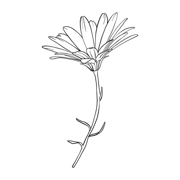 Vektorové kreslení květ — Stockový vektor