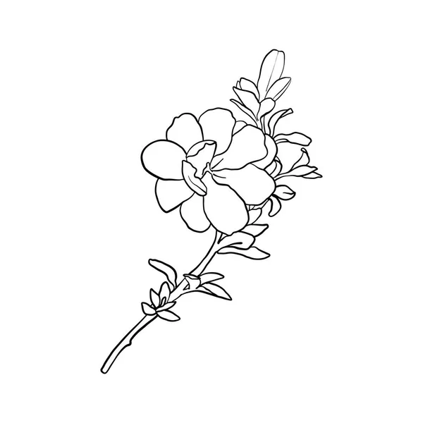 Vektor ritning blomma — Stock vektor