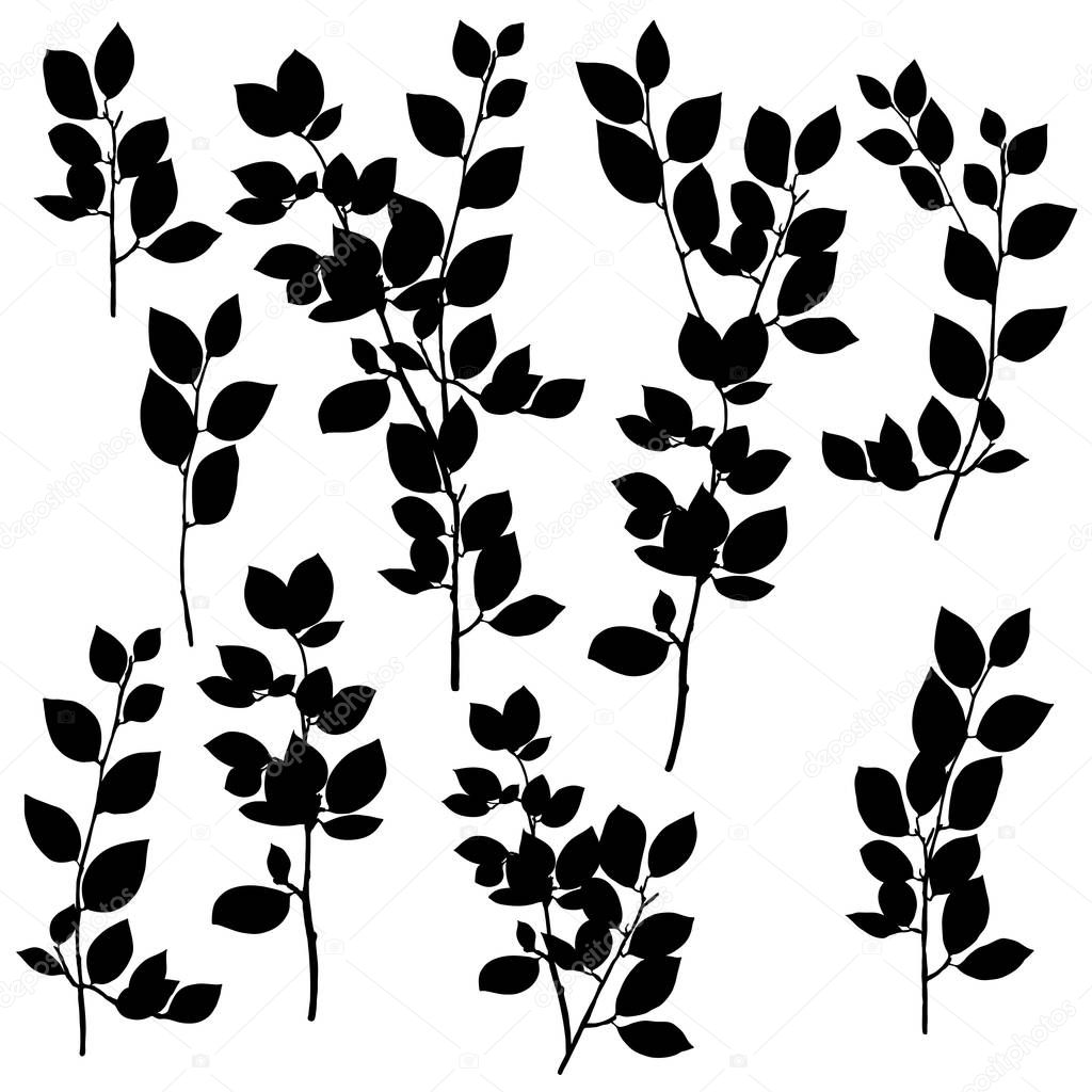 vector drawing branches